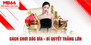 Cách Chơi Xóc Đĩa - Bí Quyết Thắng Lớn Đến Từ MB66